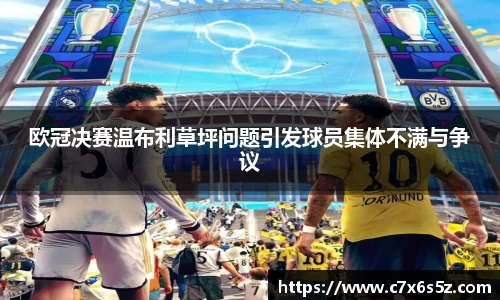 雷竞技raybet