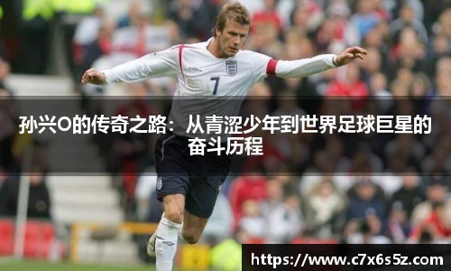 雷电竞官网